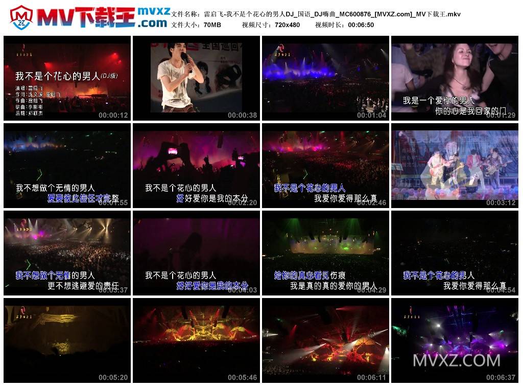 雷启飞-我不是个花心的男人DJ_国语_DJ嗨曲_MC600876